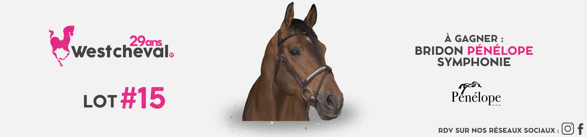 Anniv Desk 15 Pénélope